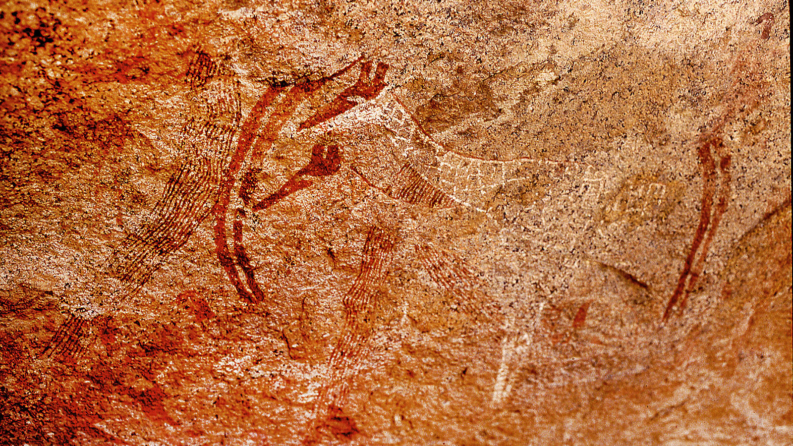 South African Rocks South African Rock Art – Helmut Tributsch