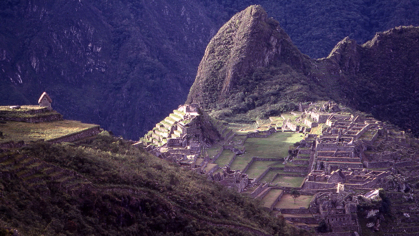 Die InkaMauern als Studienobjekt Helmut Tributsch